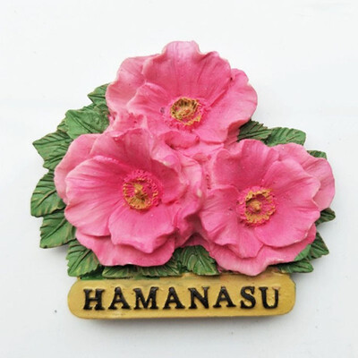 1Pcs Lovely Japans HAMANASU Decorative 3D Resin Souvenir Fridge Magnet Tourist Travel
1Pcs Lovely Japans HAMANASU Decorative 3D Resin Souvenir Fridge Magnet Tourist Travel
