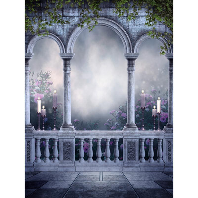 Arched Gallery Dark Sky Photo Backdrop 57FT Vinyl Fabric Cloth Digital Printing Photo Background f-2133
