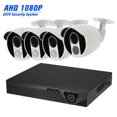 4CH 1080N Digital Video Recorder 3pcs 1080P AHD Camera with PIR Sensor 1pcs 1080P AHD Camera with Siren Function for CCTV Secu
4CH 1080N Digital Video Recorder 3pcs 1080P AHD Camera with PIR Sensor 1pcs 1080P AHD Camera with Siren Function for CCTV Secu