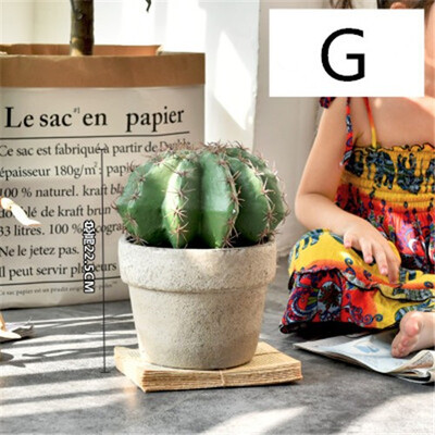 Retro creative cement basin small&medium simulation resin cactus Nordic living room decoration floor immortal column plant pot
Retro creative cement basin small&medium simulation resin cactus Nordic living room decoration floor immortal column plant pot