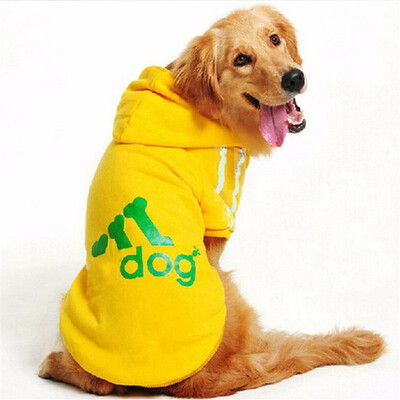 Cntomlv Large Size Dog Clothes for Big Dogs Golden Retriever Winter Pet Hoodie Sportswear
Cntomlv Large Size Dog Clothes for Big Dogs Golden Retriever Winter Pet Hoodie Sportswear