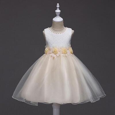Summer Style Flower Girl Dress Childrens Lace Princess Dress Mesh Dress Sleeveless Flower Party Ball Gown
Summer Style Flower Girl Dress Childrens Lace Princess Dress Mesh Dress Sleeveless Flower Party Ball Gown