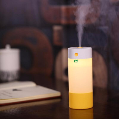 YWXLight USB Ultrasonic Humidifier Home Office Mini Aromatherapy Colorful LED Night Light
YWXLight USB Ultrasonic Humidifier Home Office Mini Aromatherapy Colorful LED Night Light