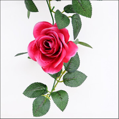Artificial flower whiteredbrownrose redpurplepink rose wall hanging flower wedding decoration flowers
Artificial flower whiteredbrownrose redpurplepink rose wall hanging flower wedding decoration flowers