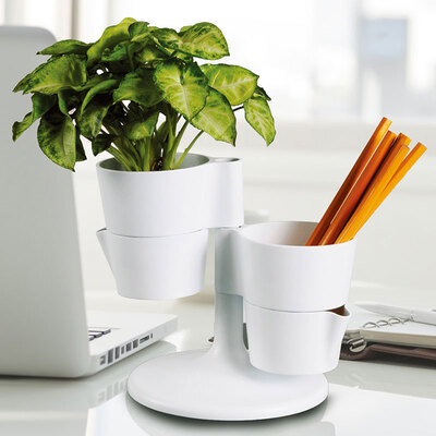 【Jingdong Supermarket】 oasso creative multi-functional office pen holder plant potted storage box gift buy seed nutrition mud to send friends birthday gift white P-0901
【Jingdong Supermarket】 oasso creative multi-functional office pen holder plant potted storage box gift buy seed nutrition mud to send friends birthday gift white P-0901
