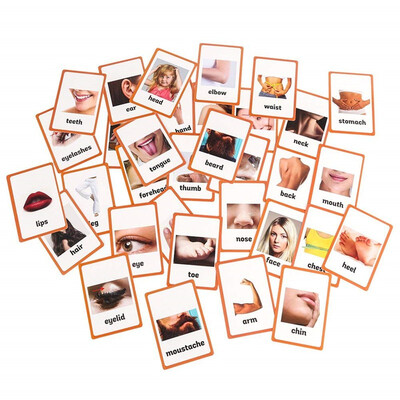 34pc-Body Parts Flash Cards-English word learning card&pocket size flash card for Preschool children-English Vocabulary Cards
34pc-Body Parts Flash Cards-English word learning card&pocket size flash card for Preschool children-English Vocabulary Cards