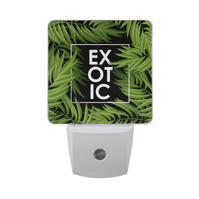 ALAZA LED Night Light With Smart Dusk To Dawn SensorTropical Palm Banana Leaves Plug In Night Light
ALAZA LED Night Light With Smart Dusk To Dawn SensorTropical Palm Banana Leaves Plug In Night Light