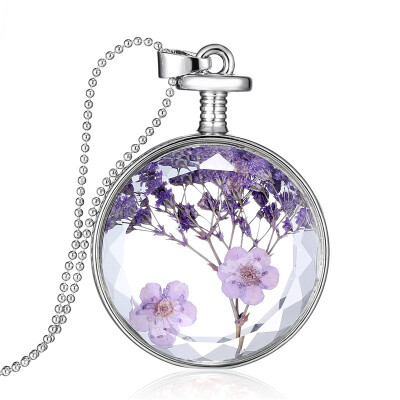 Aiyaya Mini Clover Sunflower Dry Flower Round Glass Necklace for Women New Arrival Fashion Pendant Necklaces
Aiyaya Mini Clover Sunflower Dry Flower Round Glass Necklace for Women New Arrival Fashion Pendant Necklaces