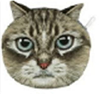 Pouch Bag New Cute Women Shoulder Bag Cat Face Cartoon Print Zipper Closure Messenger Clutch Coin Purse Bag Phone Bag B7W4F4L2
Pouch Bag New Cute Women Shoulder Bag Cat Face Cartoon Print Zipper Closure Messenger Clutch Coin Purse Bag Phone Bag B7W4F4L2