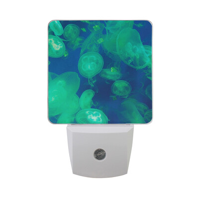 ALAZA LED Night Light With Smart Dusk To Dawn SensorJellyfish Medusas Underwater Plug In Night Light
ALAZA LED Night Light With Smart Dusk To Dawn SensorJellyfish Medusas Underwater Plug In Night Light