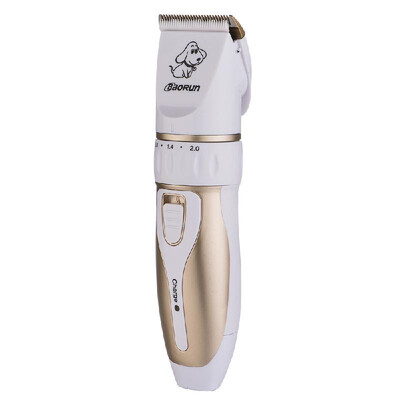 BaoRun Hot Sale Professional Grooming Kit Electric Rechargeable Pet Dog Cat Animal Hair Trimmer Clipper Shaver Razor Set Cutting M
