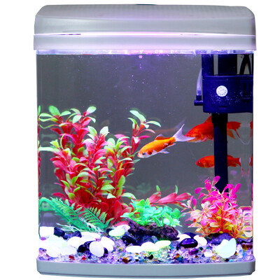 Fish treasure fish tank aquarium built-in water cycle free of water creative ornamental goldfish tank BXB-50
Fish treasure fish tank aquarium built-in water cycle free of water creative ornamental goldfish tank BXB-50