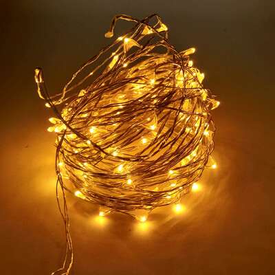 ZDM 10M 100 LED Copper Wire String Light for Festival Christmas Party Decoration DC12V
ZDM 10M 100 LED Copper Wire String Light for Festival Christmas Party Decoration DC12V