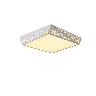 JX213 - 24W - WJ Promise Dimmable Ceiling Light AC 220V