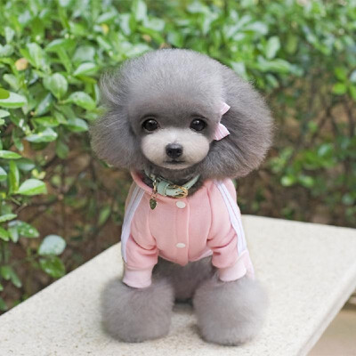 Winter Warm Pet Dog Clothes Wear Jacket Cotton Small Pet Dog Clothes for Dog Jumpsuit Coat Clothing For Dogs Sportswear Hoodie
Winter Warm Pet Dog Clothes Wear Jacket Cotton Small Pet Dog Clothes for Dog Jumpsuit Coat Clothing For Dogs Sportswear Hoodie