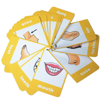 24 Parts of My Body Parts Flash Cards-English word learning card & pocket size flash card for children&Preschool12x9cm 
24 Parts of My Body Parts Flash Cards-English word learning card & pocket size flash card for children&Preschool12x9cm