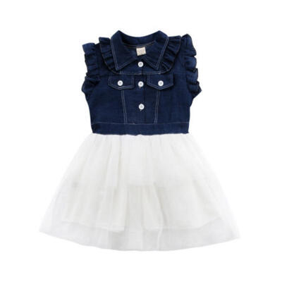 AU Stock Princess Toddler Kid Baby Girl Summer Denim Tulle Tutu Party Dress 2-7Y
AU Stock Princess Toddler Kid Baby Girl Summer Denim Tulle Tutu Party Dress 2-7Y