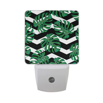 ALAZA LED Night Light With Smart Dusk To Dawn SensorFlowers Watercolor Tropical Pattern1 Plug In Night Light
ALAZA LED Night Light With Smart Dusk To Dawn SensorFlowers Watercolor Tropical Pattern1 Plug In Night Light