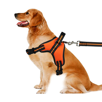 Fantasy Bubble Pet Chest Strap Dog Pulling Large&Medium Dogs Dog Chain Chest Strap Collar Leash Dog Dog Rope Dog