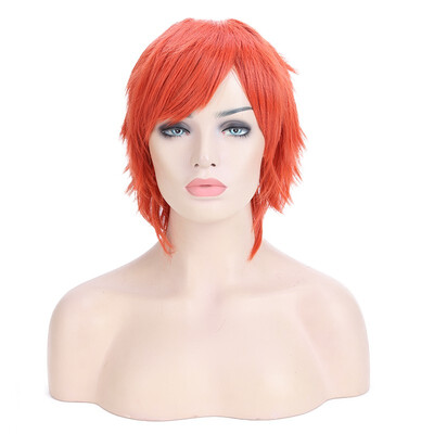 Halloween Unisex Anime Fashion Short Wig Cosplay Party Straight Hair Cosplay Full Wigs
Halloween Unisex Anime Fashion Short Wig Cosplay Party Straight Hair Cosplay Full Wigs