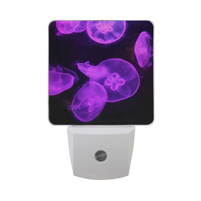 ALAZA LED Night Light With Smart Dusk To Dawn SensorHand Drawn Jellyfish Medusas Plug In Night Light
ALAZA LED Night Light With Smart Dusk To Dawn SensorHand Drawn Jellyfish Medusas Plug In Night Light