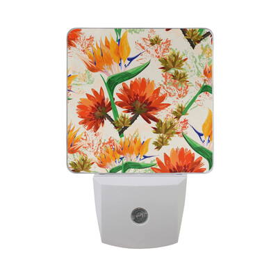 ALAZA LED Night Light With Smart Dusk To Dawn SensorDifferent Fruits Bright Colorful Plug In Night Light
ALAZA LED Night Light With Smart Dusk To Dawn SensorDifferent Fruits Bright Colorful Plug In Night Light