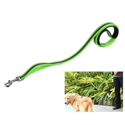 Dog Leash Durable Waterproof Safe Pet Leash Strap with Premium Strength Double Handles for Medium Large Dog
Dog Leash Durable Waterproof Safe Pet Leash Strap with Premium Strength Double Handles for Medium Large Dog