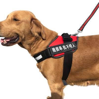 Dipper dog chest strap dog chest strap pet leash rope dog chain large dog dog rope golden hair collar explosion-proof punch strap supplies red
Dipper dog chest strap dog chest strap pet leash rope dog chain large dog dog rope golden hair collar explosion-proof punch strap supplies red