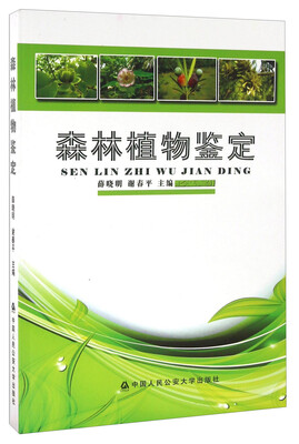 森林植物鉴定
森林植物鉴定