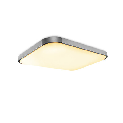 I501 - 40W - WJ Promise Dimmable Ceiling Light AC 220V
