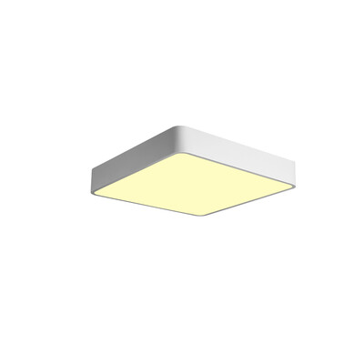 JX759 - 32W - WW Warm White Ceiling Lamp AC 220V