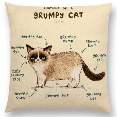 Funny Animals Anatomy Flamingo Fox Dachshund Giraffe Hedgehog Lion Pug Squirrel Cushion Cover Sofa Throw Pillow Case
Funny Animals Anatomy Flamingo Fox Dachshund Giraffe Hedgehog Lion Pug Squirrel Cushion Cover Sofa Throw Pillow Case