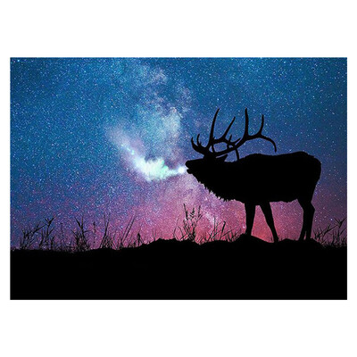 UpperX Full 5D Diy Diamond Painting Cross Stitch "Starry sky Elk" 3D Diamond Embroidery Rhinestone Mosaic Decor Paintings
UpperX Full 5D Diy Diamond Painting Cross Stitch "Starry sky Elk" 3D Diamond Embroidery Rhinestone Mosaic Decor Paintings