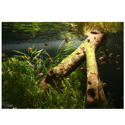 PVC Waterproof Single Side Ocean Natural Landscape Fish Bowl Sticker Aquarium Background Poster Wall Picture
PVC Waterproof Single Side Ocean Natural Landscape Fish Bowl Sticker Aquarium Background Poster Wall Picture