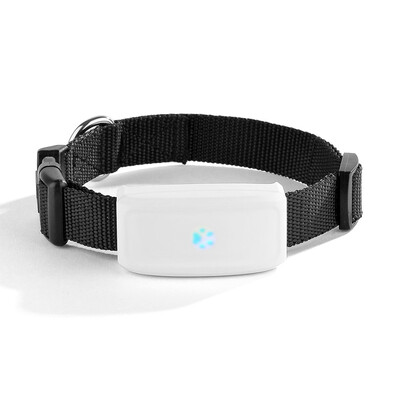 TK911 Mini Waterproof Pets GSM GPS Locator Tracker Tracking for Pet Dog&Cat Real Time Free APP Track Alarm Device
TK911 Mini Waterproof Pets GSM GPS Locator Tracker Tracking for Pet Dog&Cat Real Time Free APP Track Alarm Device