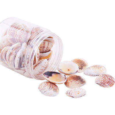 PH PANDAHALL 50 pcsbox Dyed Clam Seashell Shell Beads Charms with Holes for Jewellery Making
PH PANDAHALL 50 pcsbox Dyed Clam Seashell Shell Beads Charms with Holes for Jewellery Making