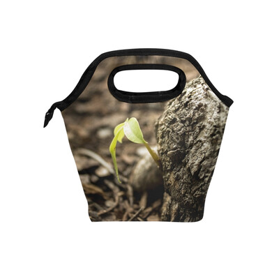 Lunch Bag 593E95c189714 Tote Travel Picnic Insulated Handbags Portable Zipper Lunch Bag Box
Lunch Bag 593E95c189714 Tote Travel Picnic Insulated Handbags Portable Zipper Lunch Bag Box