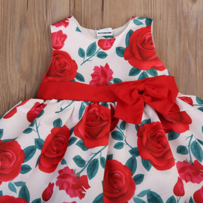 Flower Girl Princess Dress Kid Baby Party Wedding Pageant Formal Dresses Clothes
Flower Girl Princess Dress Kid Baby Party Wedding Pageant Formal Dresses Clothes