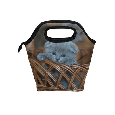 Lunch Bag Cat In Basket Tote Travel Picnic Insulated Handbags Portable Zipper Lunch Bag Box