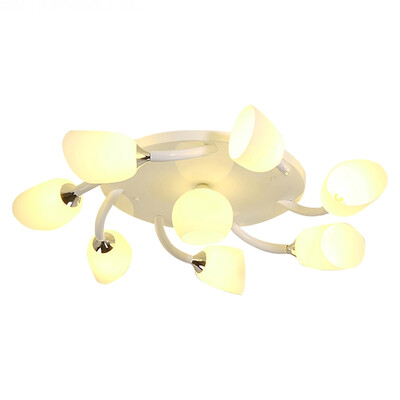 LED Ceiling lamp ZM1711-1028