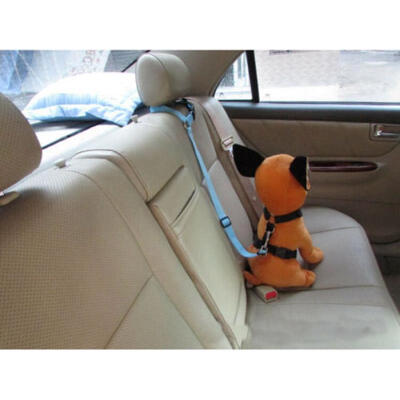 Car Travel Dog Cat Safe Seat Belt Restreint Lead Harness Collar 4 Colours -SG-UK
Car Travel Dog Cat Safe Seat Belt Restreint Lead Harness Collar 4 Colours -SG-UK