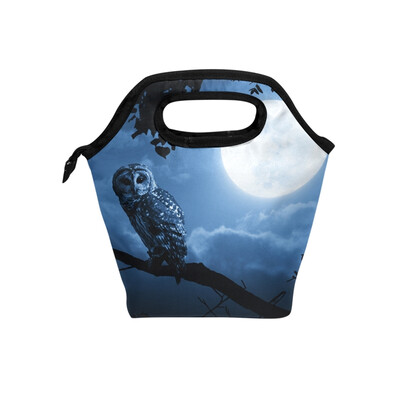 Lunch Tote Bag Moonlight Owl Travel Picnic Insulated Lunch Handbags Portable Zipper Lunch Bag Box
Lunch Tote Bag Moonlight Owl Travel Picnic Insulated Lunch Handbags Portable Zipper Lunch Bag Box