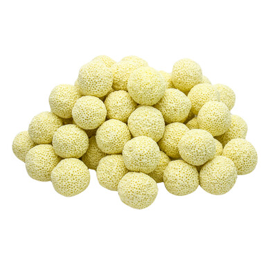 Qi Yi natural nano-bacteria ring fish tank filter material aquarium filter material nitrifying bacteria ring water purification filter material 1 liter -101
Qi Yi natural nano-bacteria ring fish tank filter material aquarium filter material nitrifying bacteria ring water purification filter material 1 liter -101