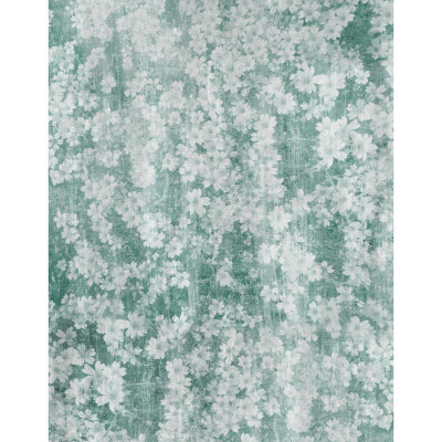 Purple Fog Photo Backdrop 57FT Vinyl Fabric Cloth Digital Printing Photo Background s-2355
Purple Fog Photo Backdrop 57FT Vinyl Fabric Cloth Digital Printing Photo Background s-2355
