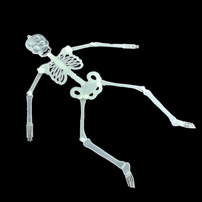 MyMei 2016 New Hot Luminous Movable Skull Skeleton Halloween Props Party Bars Wall House Decoration Glow In The Dark Hanging Decor 
MyMei 2016 New Hot Luminous Movable Skull Skeleton Halloween Props Party Bars Wall House Decoration Glow In The Dark Hanging Decor