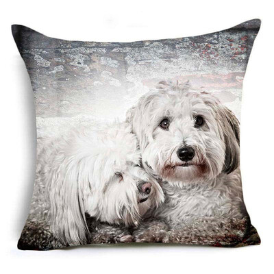 Animal Cushion Cover Mother&son style Affection wolf dog zebra Pillow Covers for Sofa seat square housse de coussin Cojines
Animal Cushion Cover Mother&son style Affection wolf dog zebra Pillow Covers for Sofa seat square housse de coussin Cojines