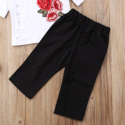 Mode Kleinkind Kinder Mädchen 3D Blume Tops Hose Outfits Set Kleidung 1-6t
Mode Kleinkind Kinder Mädchen 3D Blume Tops Hose Outfits Set Kleidung 1-6t