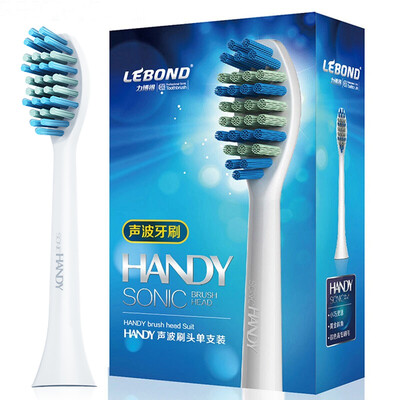 Lebond Electric Toothbrush Head White