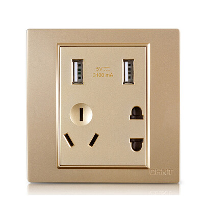 Zhengtai (CHNT) socket panel five holes with dual USB socket transformer DC 5V charging socket 3.1A NEW7-L13222
Zhengtai (CHNT) socket panel five holes with dual USB socket transformer DC 5V charging socket 3.1A NEW7-L13222