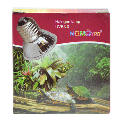 NOMOYPET Turtle Turtle Turtle Turtle Sunbank Terrace Turtle Turtle Sunbank Sunrise Turtle Turtle Turtle Turtle Turtle
NOMOYPET Turtle Turtle Turtle Turtle Sunbank Terrace Turtle Turtle Sunbank Sunrise Turtle Turtle Turtle Turtle Turtle